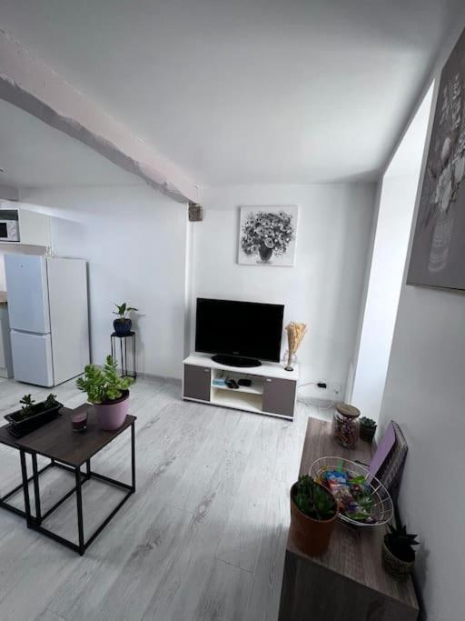 Charmante Maison Renovee Nérac Eksteriør billede